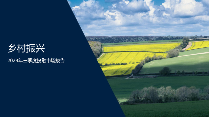 2024年三季度投融市场报告：乡村振兴