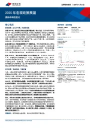 2025年宏观政策展望：拥抱非线性变化