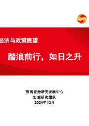 2025年宏观经济与政策展望：踏浪前行，如日之升