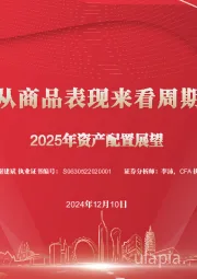 2025年资产配置展望：以质换量：从商品表现来看周期与资产配置
