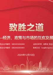 经济、政策与市场的互应与展望：致胜之道