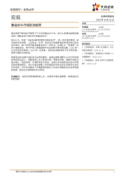 宏观：黄金的牛市或还没结束