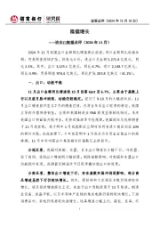 进出口数据点评(2024年11月):稳健增长
