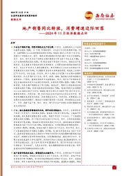 2024年11月经济数据点评：地产销售同比转涨，消费增速边际回落