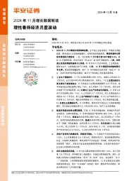 2024年11月增长数据解读：理性看待经济月度波动