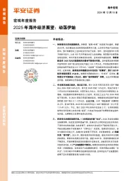 2025年海外经济展望：动荡伊始