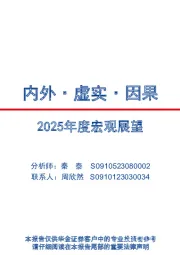2025年度宏观：展望内外·虚实·因果