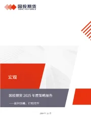 2025年度策略报告：披荆斩棘，行则将至