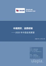 2025年中国宏观展望：中美博弈，消费修复