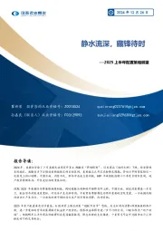 2025上半年配置策略展望：静水流深，藏锋待时