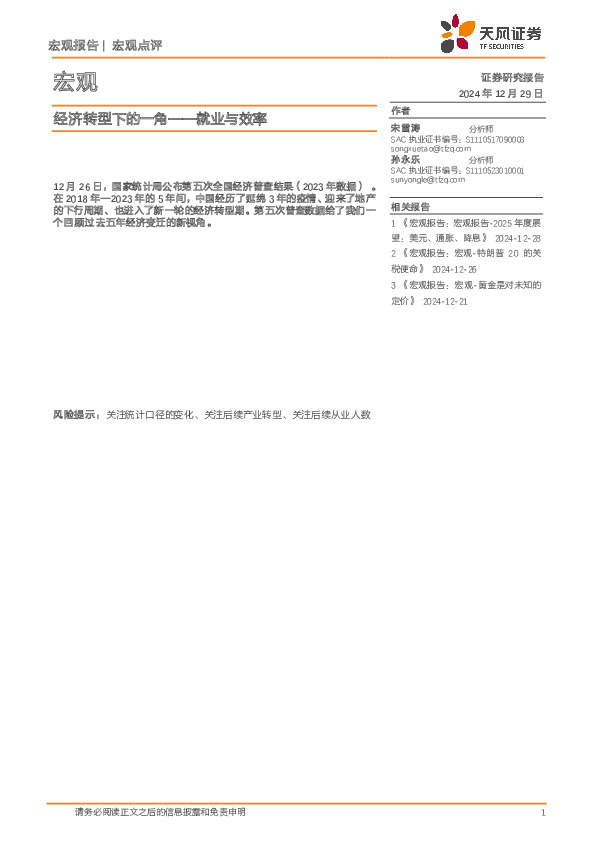 宏观：经济转型下的一角——就业与效率