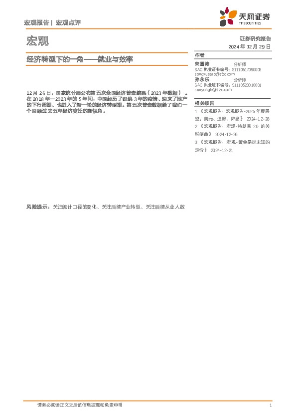 宏观：经济转型下的一角——就业与效率