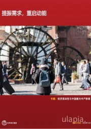 专题:经济流动性与中国新兴中产阶层:提振需求,重启动能