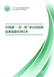 2024年政策研究专题报告：中国和“一带一路”重点国家的能源低碳转型合作