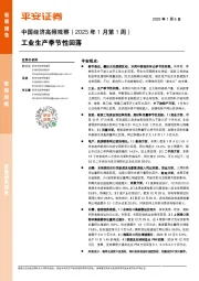 中国经济高频观察（2025年1月第1周）：工业生产季节性回落