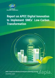APEC数字创新实施中小企业低碳转型报告