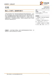 宏观：黄金vs比特币，谁能替代美元？