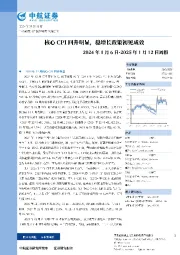 2024年1月6日-2025年1月12日周报：核心CPI回升明显，稳增长政策初见成效