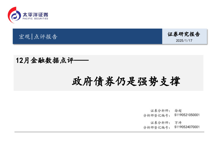12月金融数据点评：政府债券仍是强势支撑