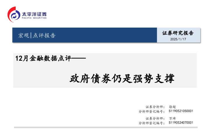 12月金融数据点评：政府债券仍是强势支撑