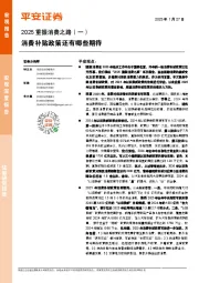 2025重振消费之路（一）：消费补贴政策还有哪些期待