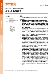2025年1月PMI数据解读：经济企稳中的春节月