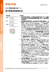 2025重振消费之路（二）：春节假期消费数据全景