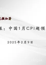 宏观周报：中国1月CPI超预期回升