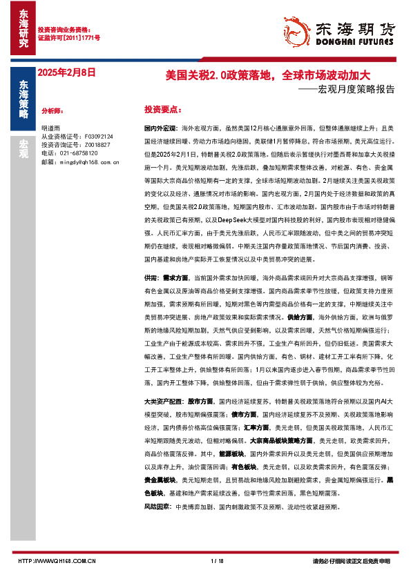 宏观月度策略报告：美国关税2.0政策落地，全球市场波动加大