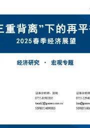 2025春季经济展望：“三重背离”下的再平衡