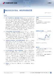 梯度培育企业发展，强化科技提振消费