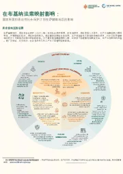 在布基纳法索映射影响:国家层面的适应性社会保护计划在萨赫勒地区的影响