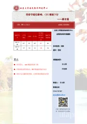 CPI、PPI点评报告：受春节错位影响，CPI增速下行