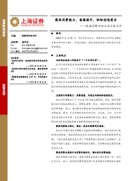 提振消费专项行动方案点评：聚焦消费能力、意愿提升，供给创造需求