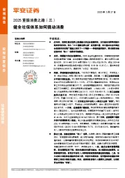 2025重振消费之路（三）：健全社保体系如何撬动消费
