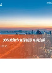 全球宏观经济2025年二季度报告：美国经济出现滞涨风险 关税政策令全球前景充满变数