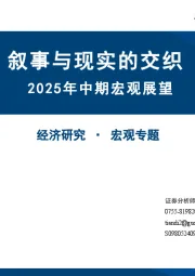 2025年中期宏观展望：叙事与现实的交织
