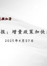 宏观月报：增量政策加快出台