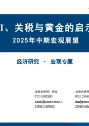 2025年中期宏观展望：AI、关税与黄金的启示