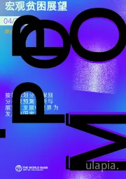 南亚宏观贫困展望