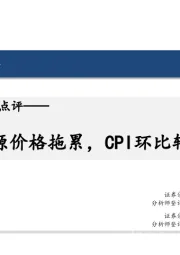 5月通胀数据点评：能源价格拖累，CPI环比转降