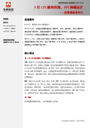 宏观通胀系列九：5月CPI维持回落，PPI降幅走扩