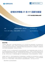 2025年宏观对冲策略半年报：宏观对冲策略25年H1回顾与展望