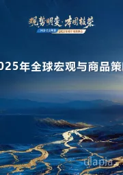 2025年全球宏观与商品策略