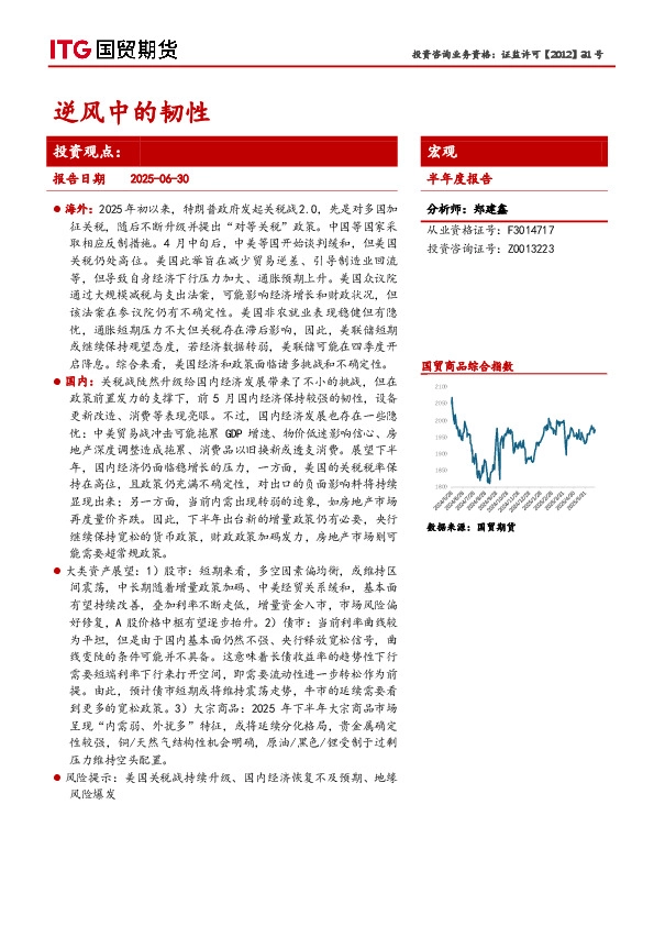 宏观半年度报告：逆风中的韧性