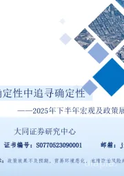 2025年下半年宏观及政策展望：向阳而生，于不确定性中追寻确定性