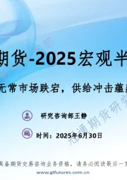 2025宏观半年报：反复无常市场跌宕，供给冲击蕴藏良机
