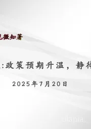 宏观周报：政策预期升温，静待政治局会议