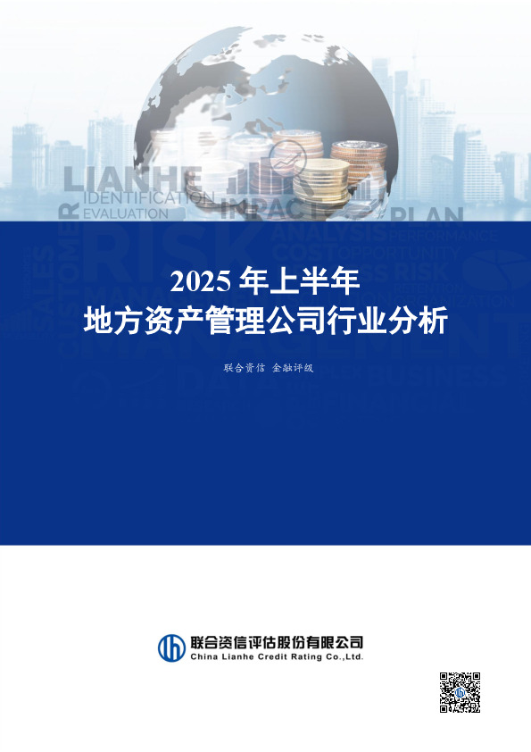 2025年上半年地方资产管理公司行业分析
