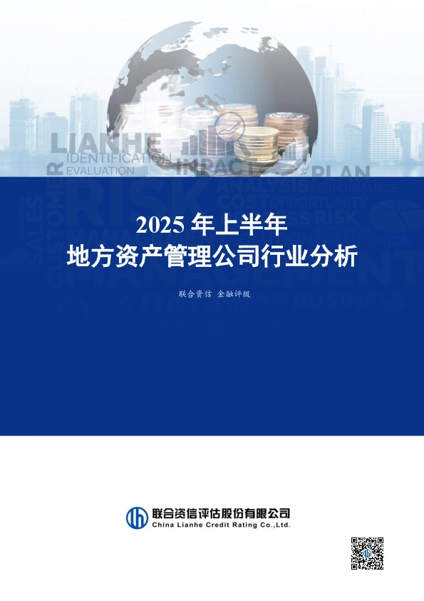 2025年上半年地方资产管理公司行业分析